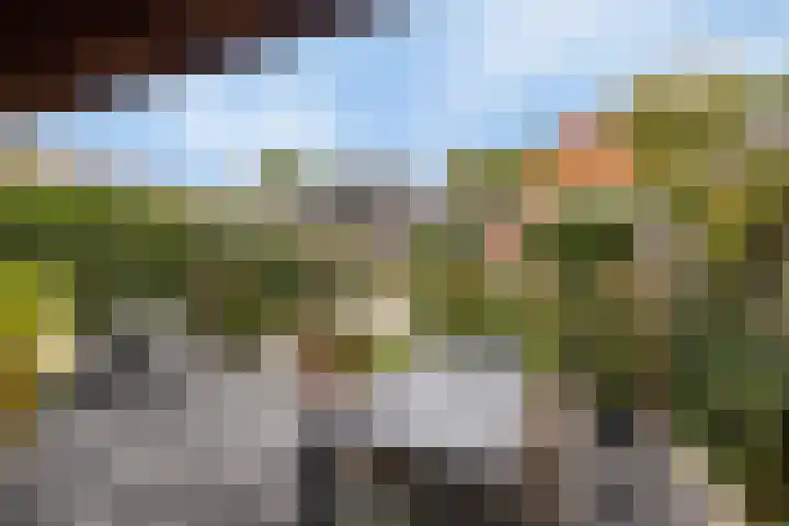 Middenstraat 6 Zuidlaren thumbnail 39