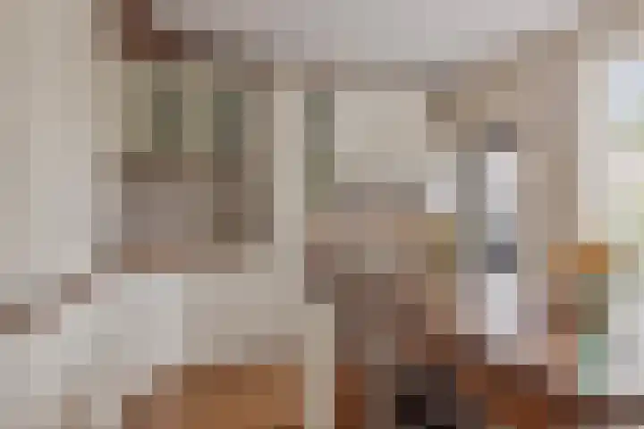 Middenstraat 6 Zuidlaren thumbnail 4