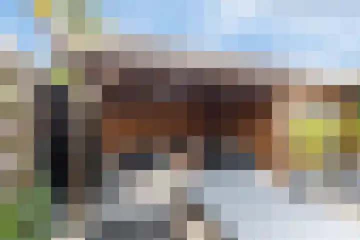Middenstraat 6 Zuidlaren thumbnail 40