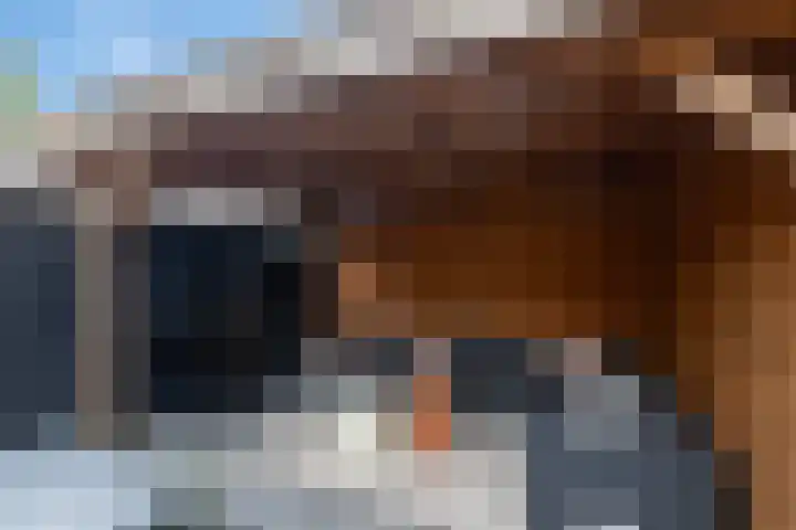 Middenstraat 6 Zuidlaren thumbnail 41