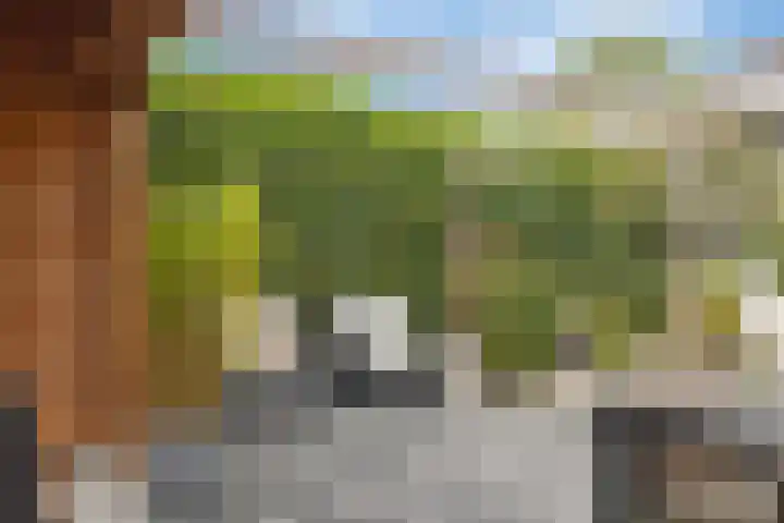 Middenstraat 6 Zuidlaren thumbnail 43