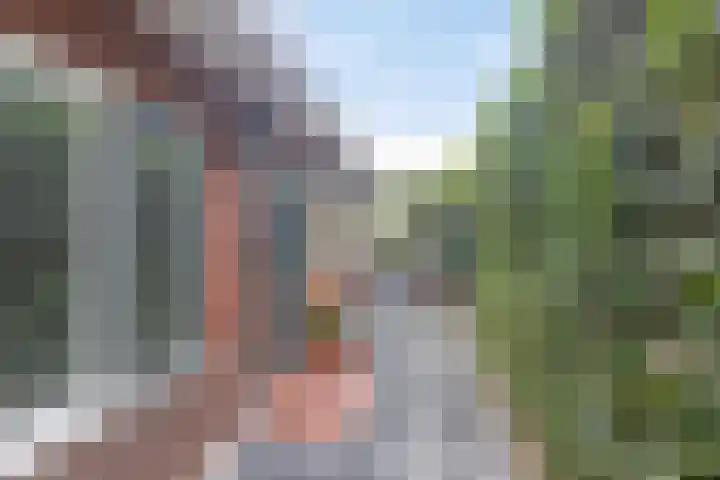 Middenstraat 6 Zuidlaren thumbnail 49