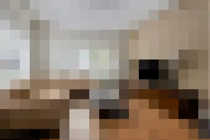 Middenstraat 6 Zuidlaren thumbnail 9