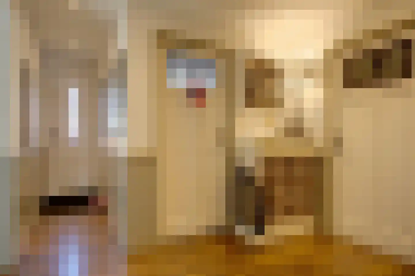 Middenstraat 70 Sappemeer thumbnail 21