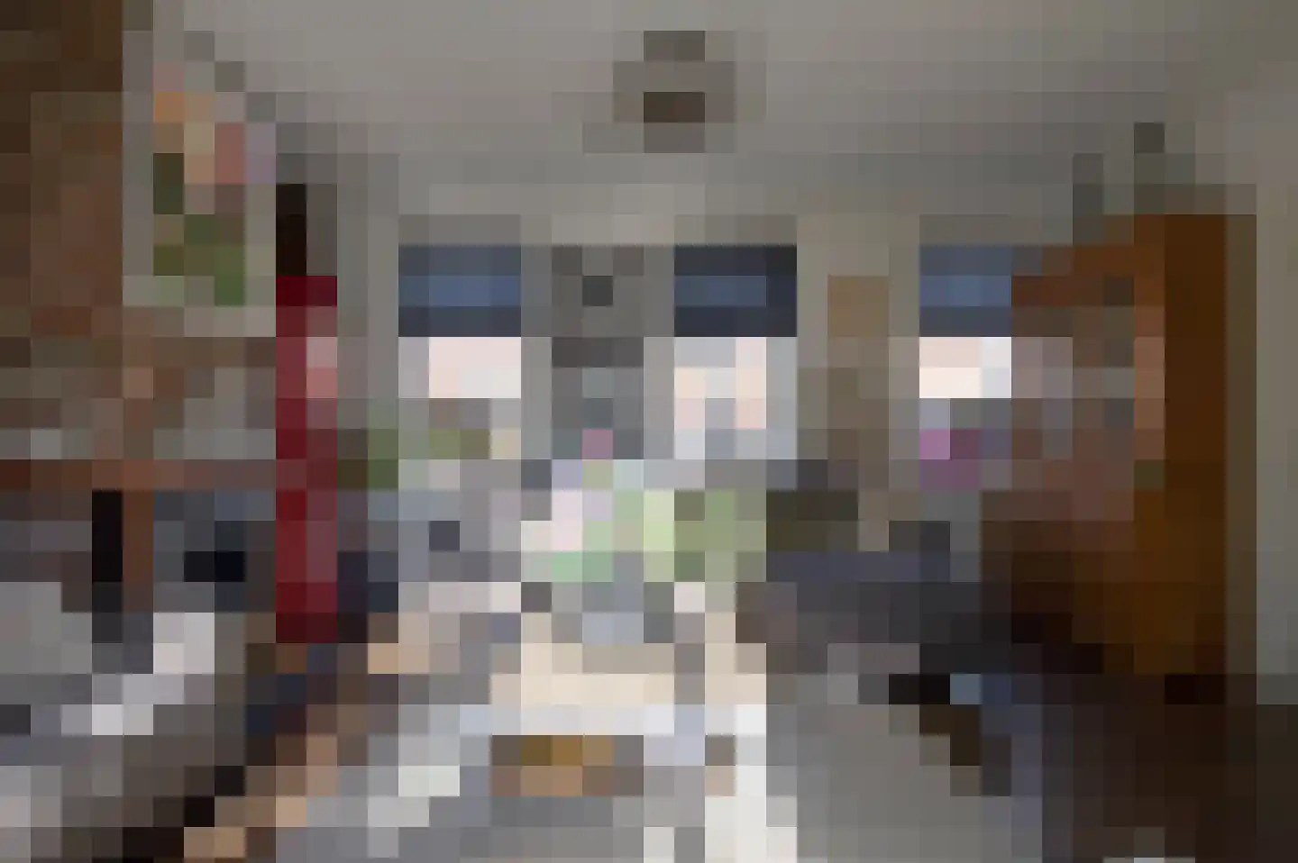 Middenstraat 70 Sappemeer thumbnail 24