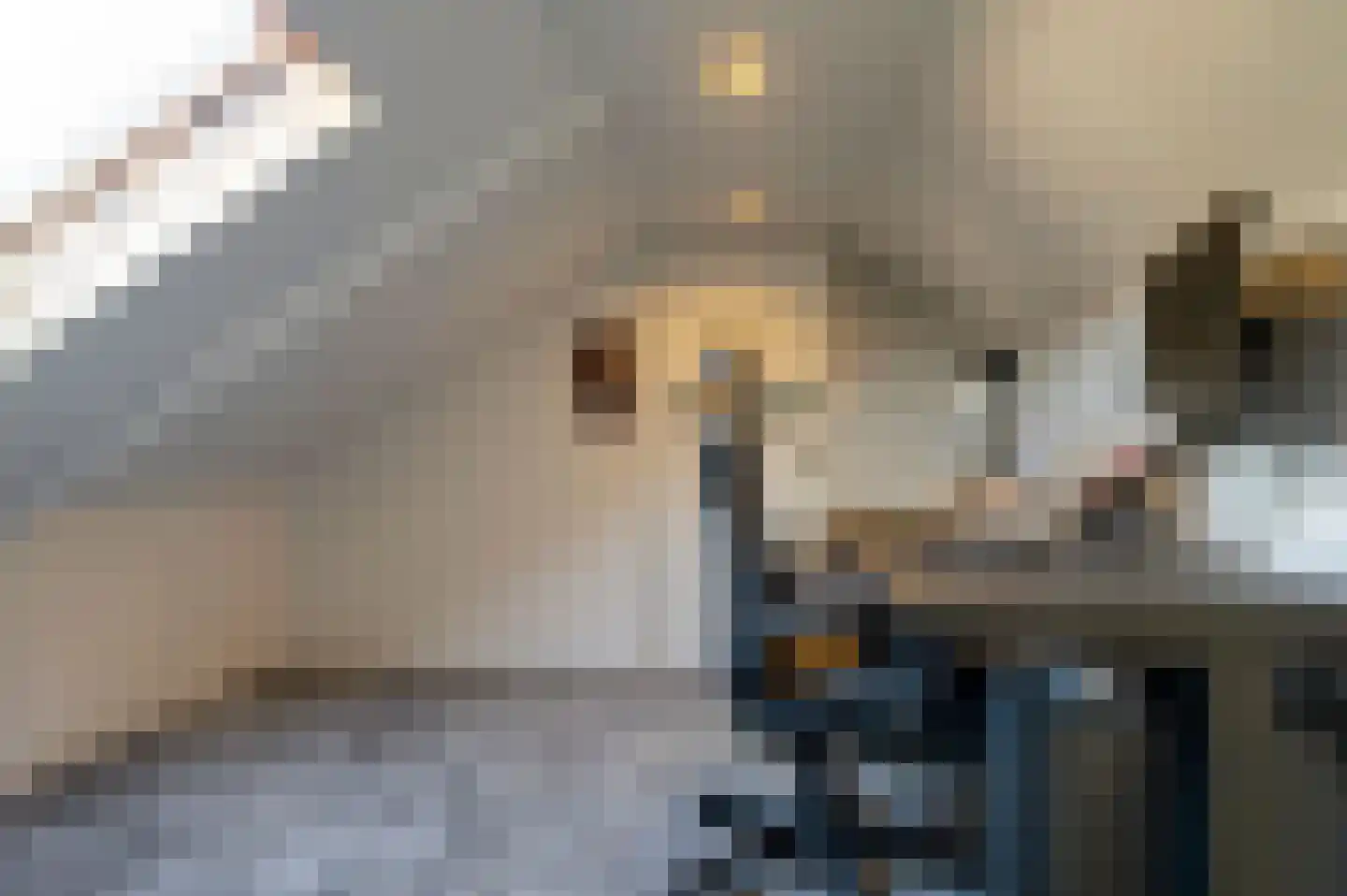 Middenstraat 70 Sappemeer thumbnail 43