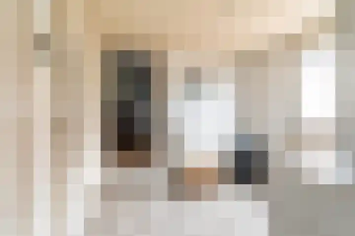 Middenstraat 81 Sappemeer thumbnail 10