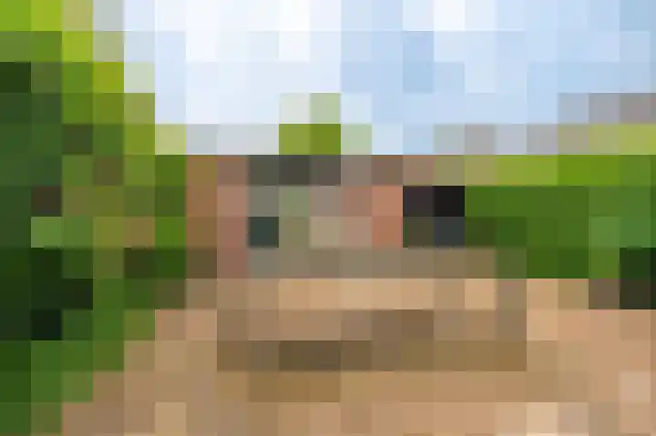Middenstraat 81 Sappemeer thumbnail 20