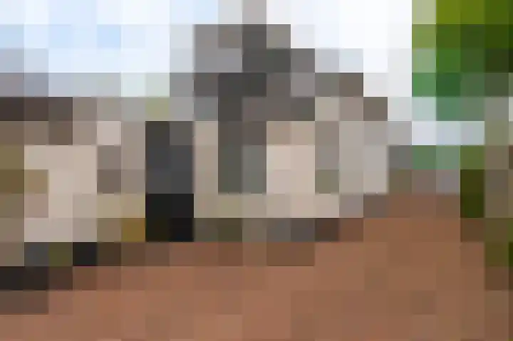 Middenstraat 81 Sappemeer thumbnail 25
