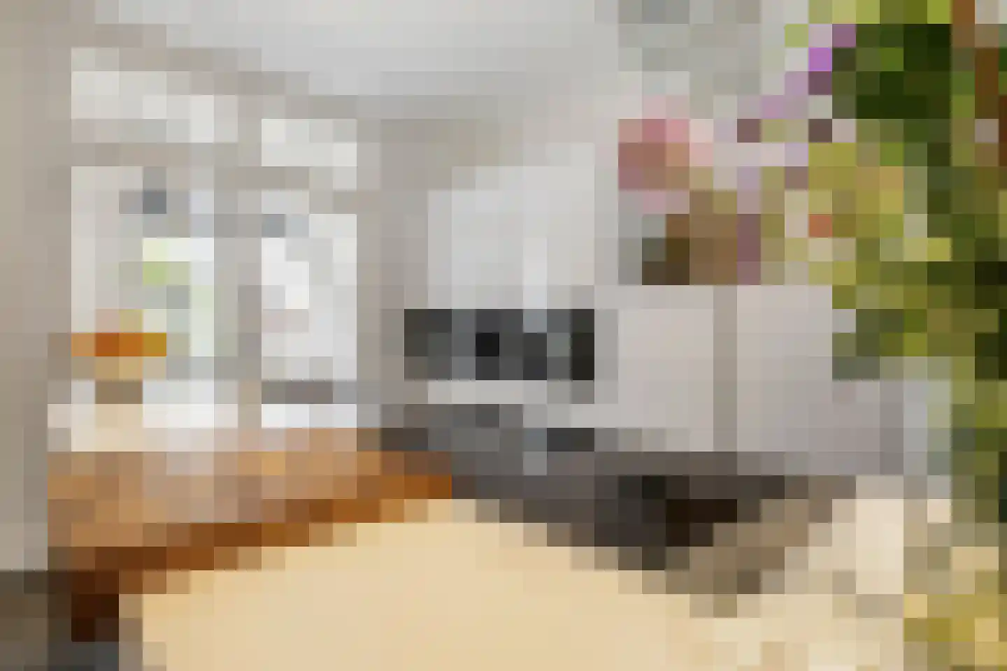Middenstraat 83 Weesp thumbnail 10