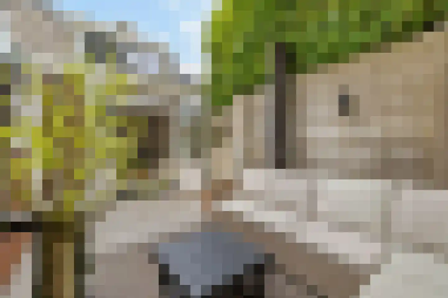 Middenstraat 83 Weesp thumbnail 23