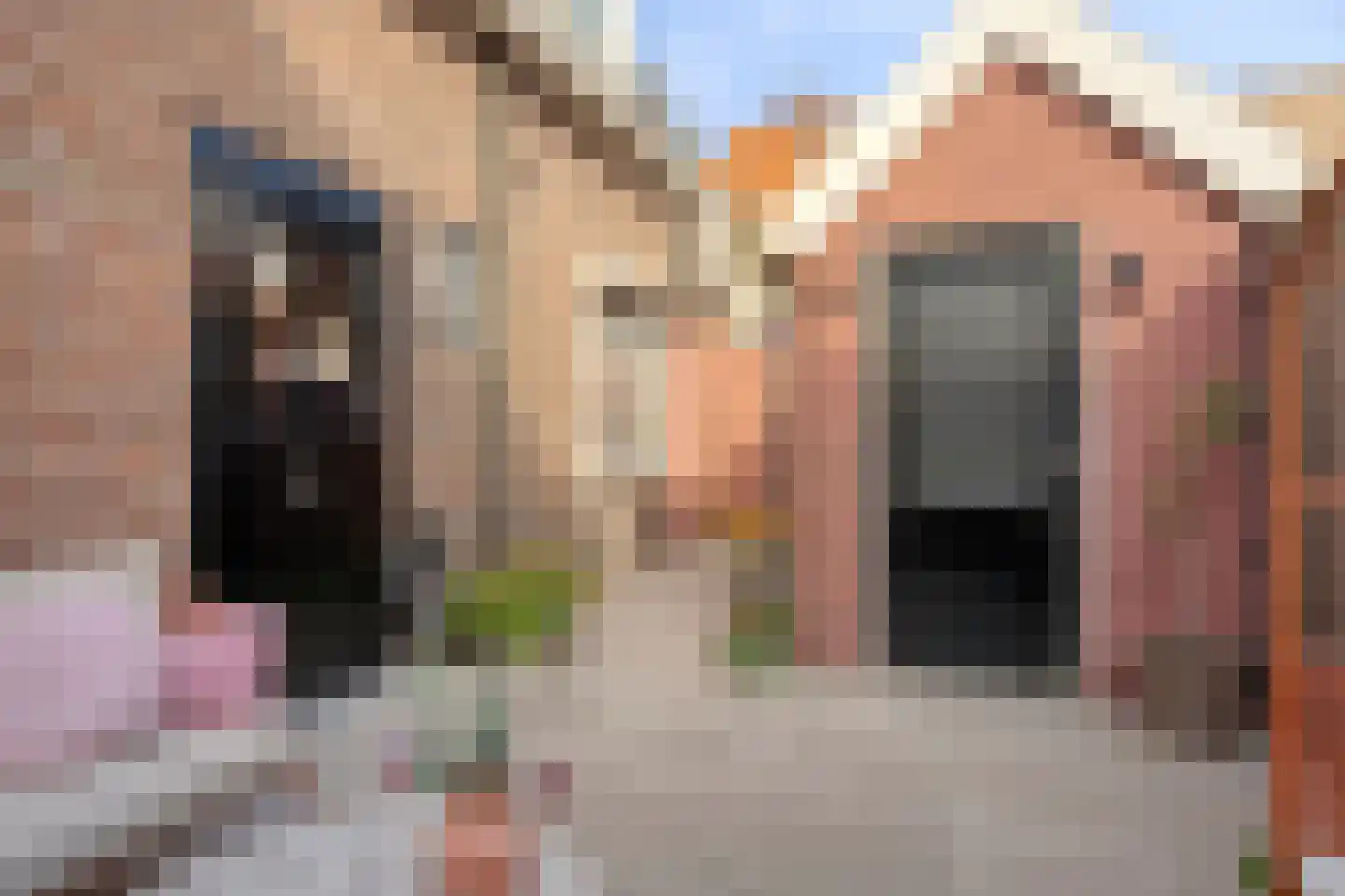 Middenstraat 9 Sliedrecht thumbnail 50