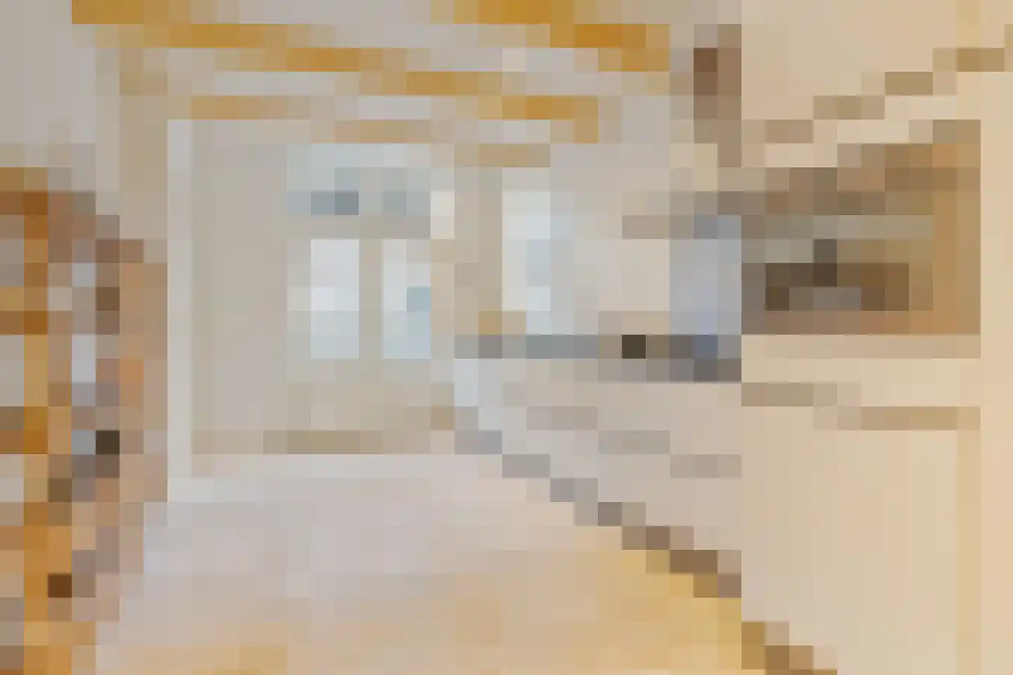 Middenstraat 9 Weesp thumbnail 14