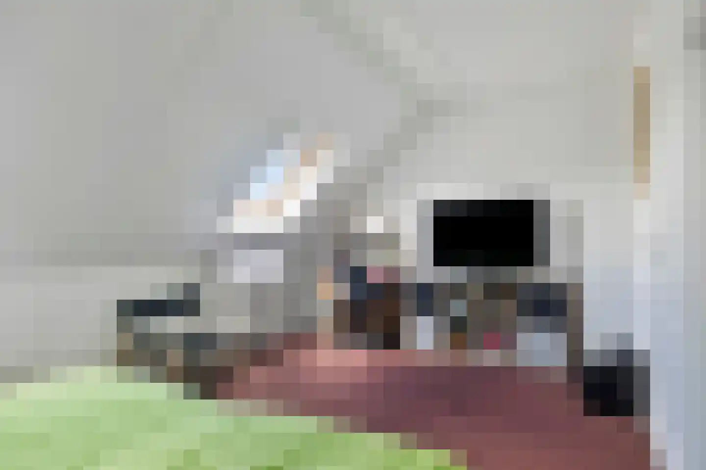 Middenstraat 9 Wissenkerke thumbnail 16