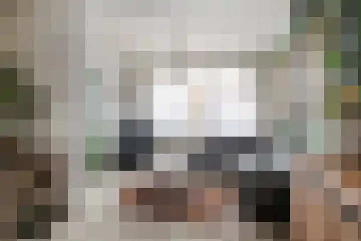 Middenstraat 94 Sluiskil thumbnail 5