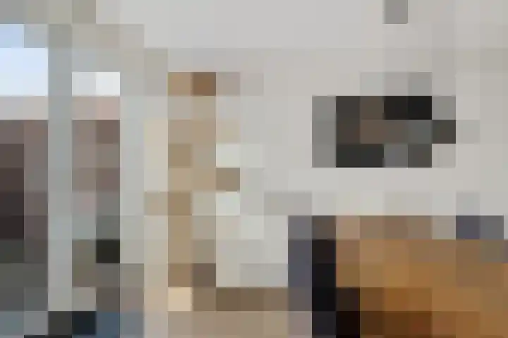 Middenstraat 96 Sappemeer thumbnail 10