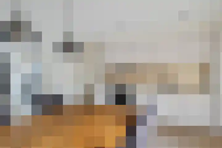 Middenstraat 96 Sappemeer thumbnail 11