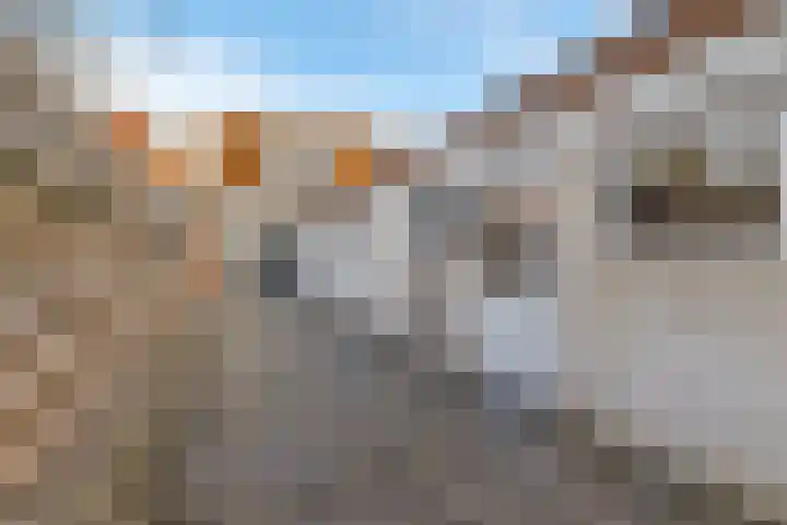 Middenstraat 96 Sappemeer thumbnail 26