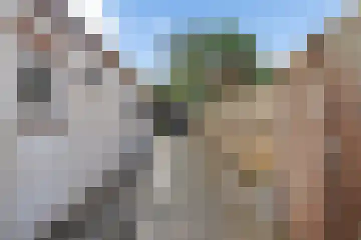 Middenstraat 96 Sappemeer thumbnail 28