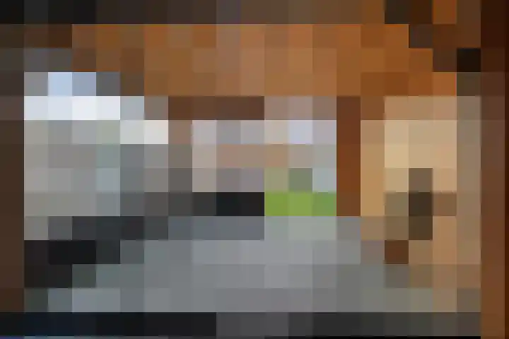 Middenstraat 96 Sappemeer thumbnail 32