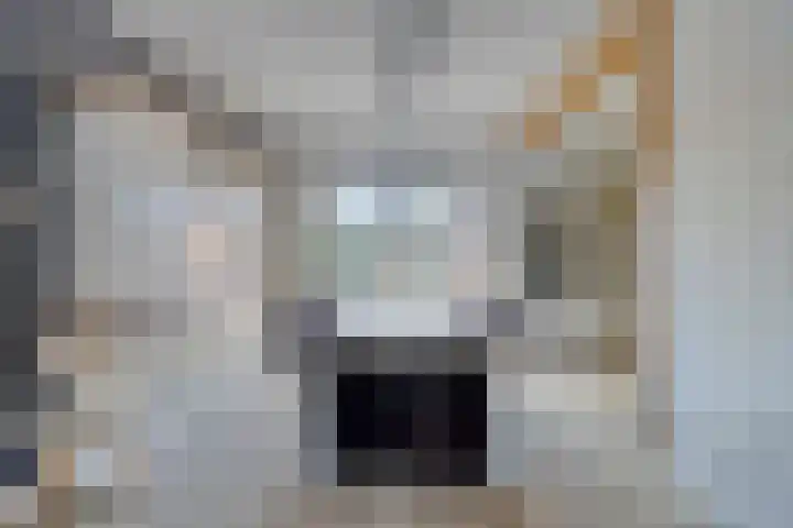 Middenstraat 96 Sluiskil thumbnail 10