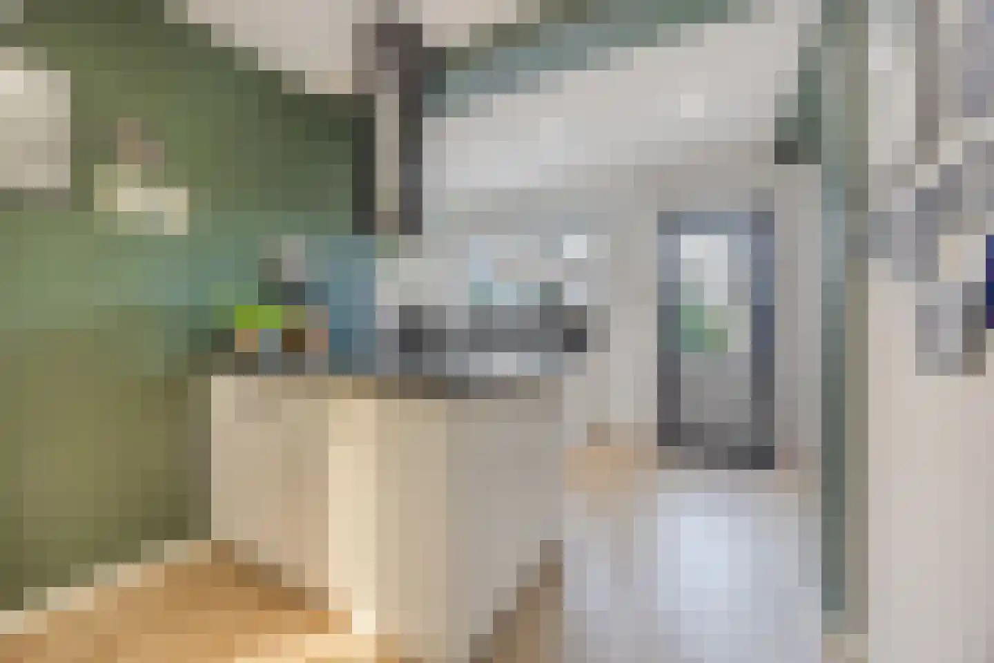Middenstraat 98 Sluiskil thumbnail 17