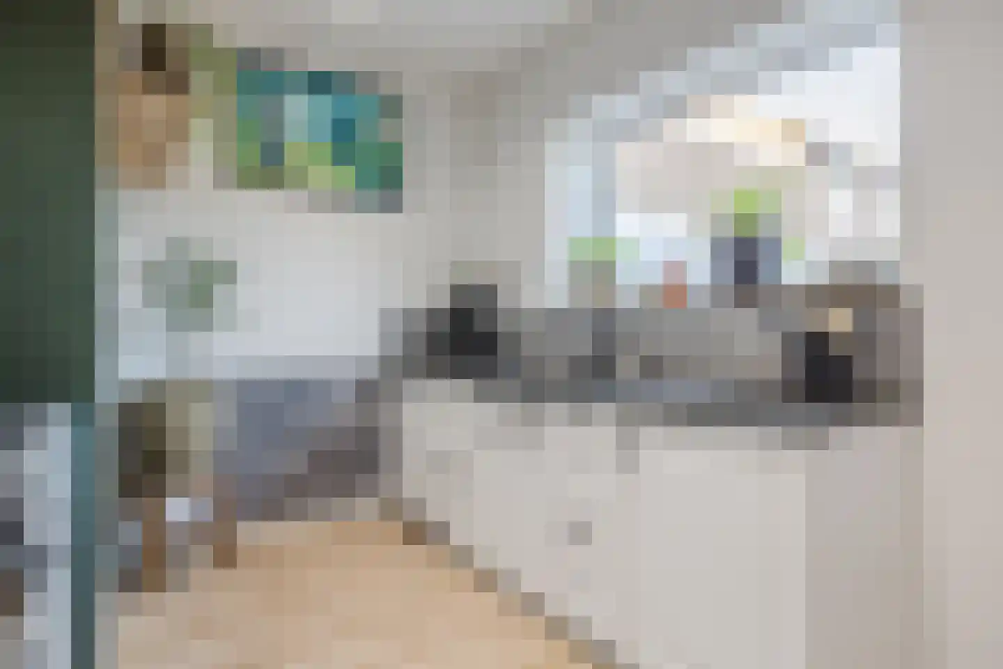 Middenstraat 98 Sluiskil thumbnail 19