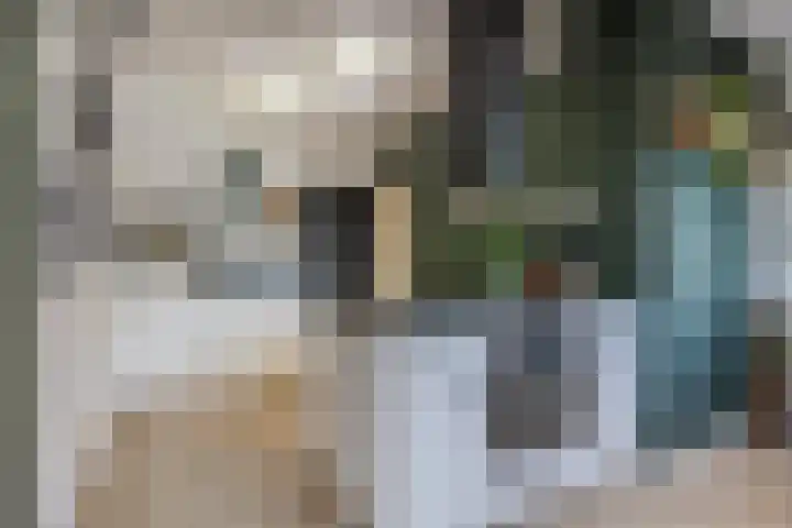 Middenstraat 98 Sluiskil thumbnail 20