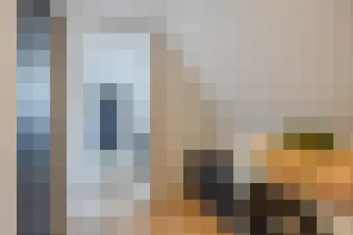 Middenstraat 98 Sluiskil thumbnail 39