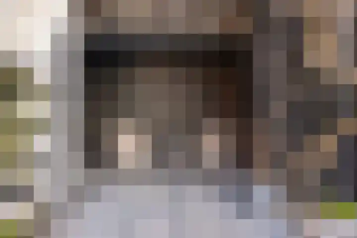 Middenstraat 98 Sluiskil thumbnail 42