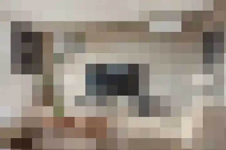Middenstraat 98 Sluiskil thumbnail 8