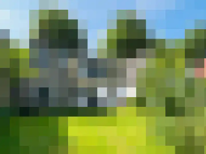 Middenstreek 40 Schiermonnikoog thumbnail 18