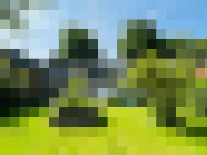 Middenstreek 40 Schiermonnikoog thumbnail 19