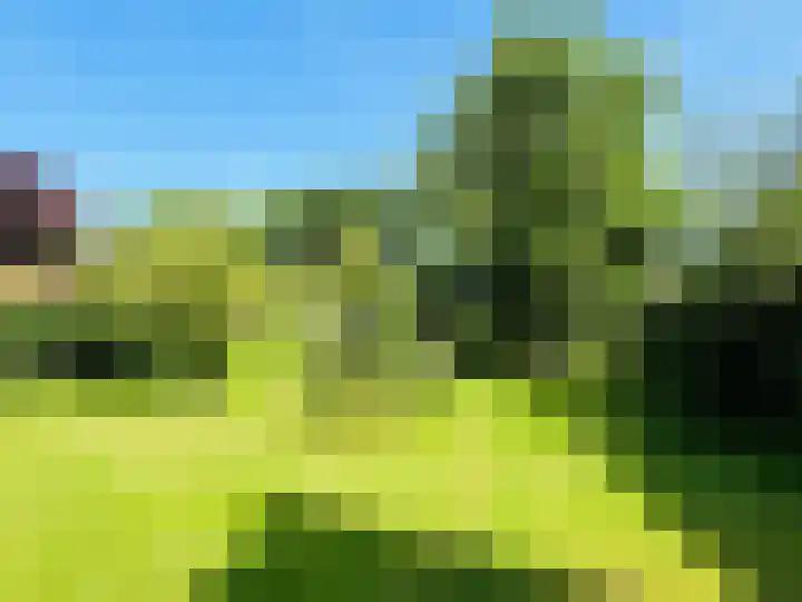 Middenstreek 40 Schiermonnikoog thumbnail 20