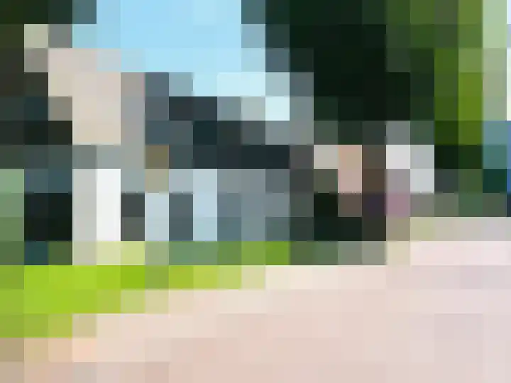 Middenstreek 40 Schiermonnikoog thumbnail 21