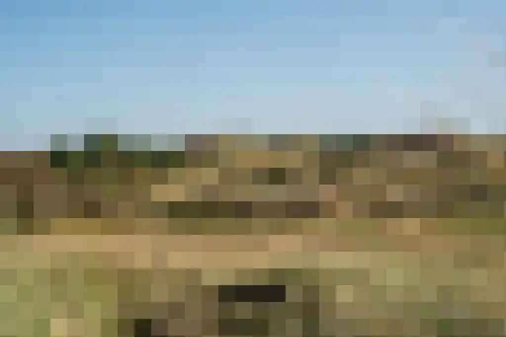 Middenstreek 7 Schiermonnikoog thumbnail 17