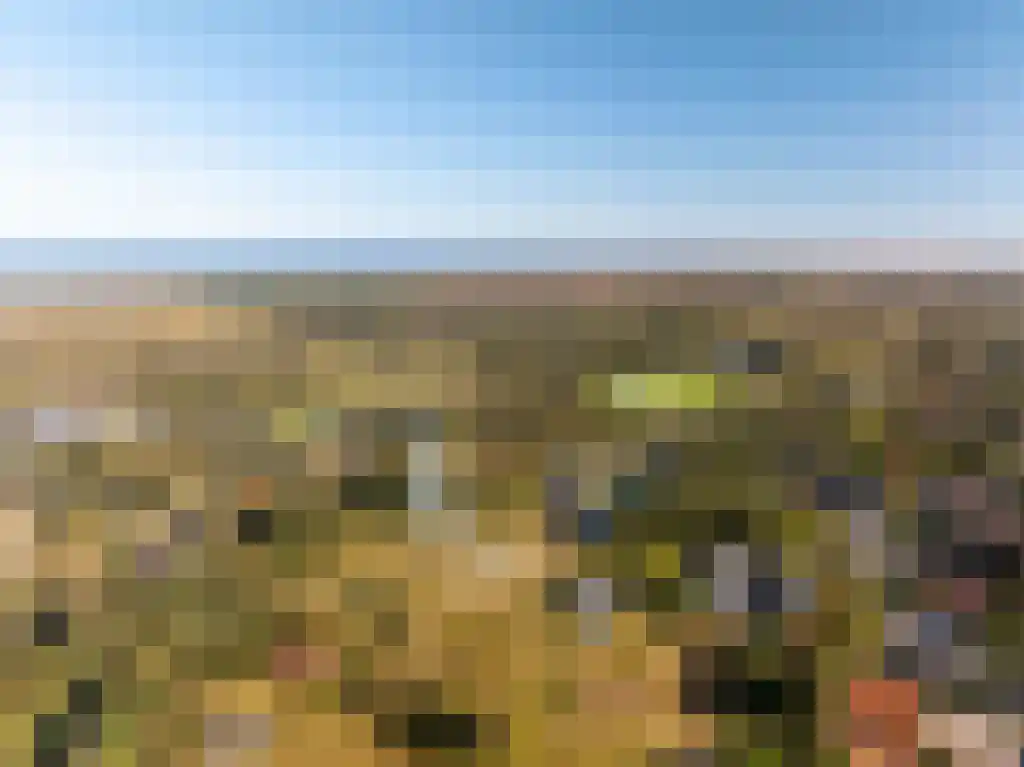Middenstreek 7 Schiermonnikoog thumbnail 18