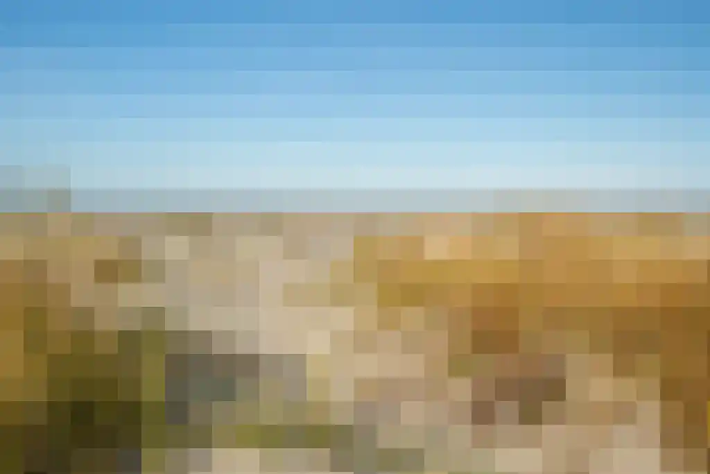 Middenstreek 7 Schiermonnikoog thumbnail 19