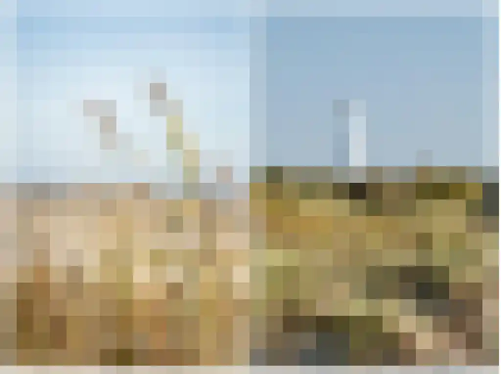 Middenstreek 7 Schiermonnikoog thumbnail 20