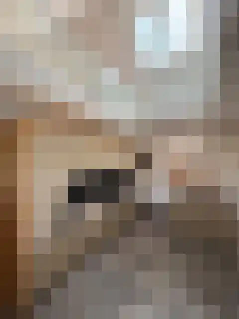 Middenstreek 7 Schiermonnikoog thumbnail 6