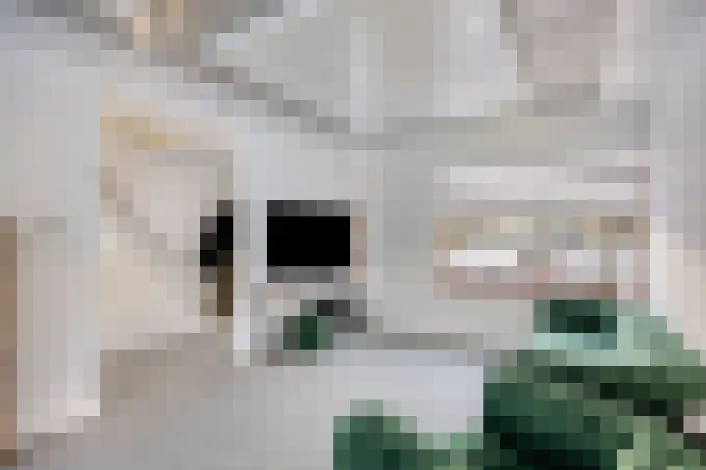 Middenvaart 5 Echten thumbnail 11