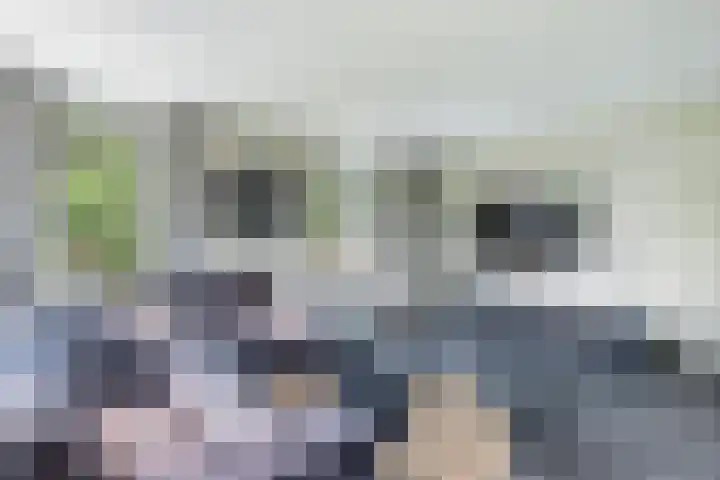 Middenvaart 5 Echten thumbnail 13