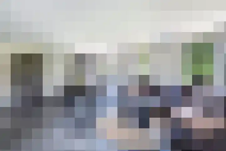 Middenvaart 5 Echten thumbnail 17