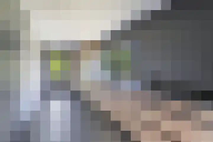 Middenvaart 5 Echten thumbnail 22