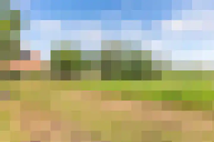 Middenvaart 5 Echten thumbnail 34