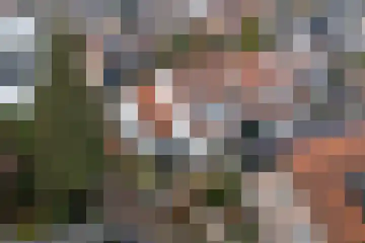 Middenvaart 5 Echten thumbnail 36