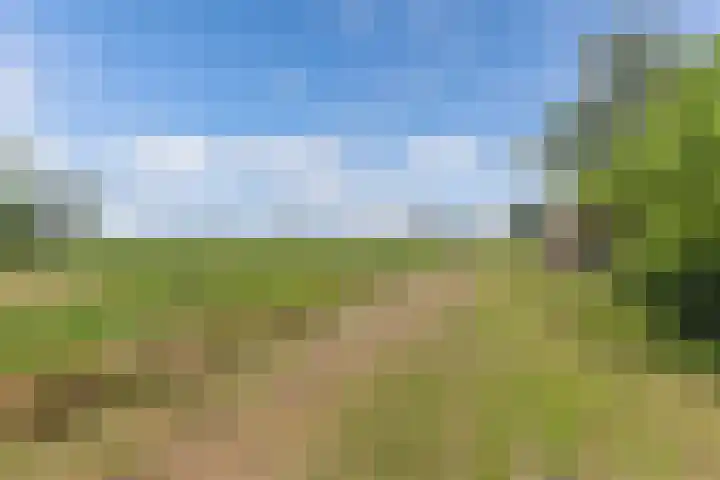 Middenvaart 5 Echten thumbnail 36