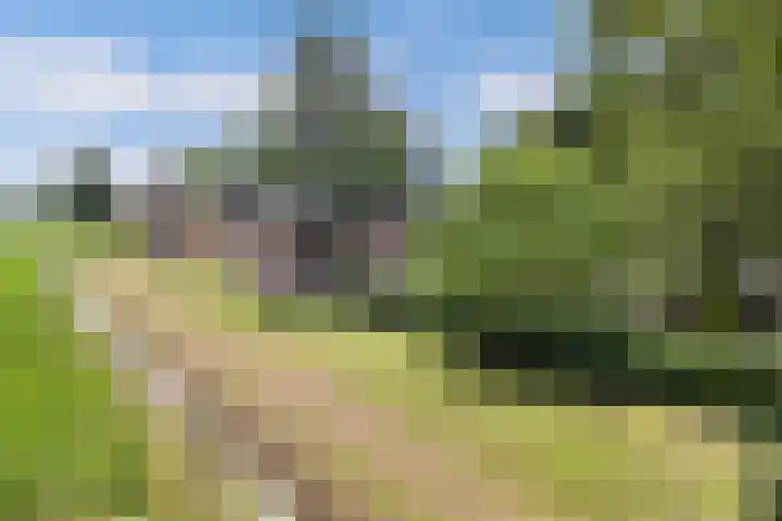 Middenvaart 5 Echten thumbnail 39