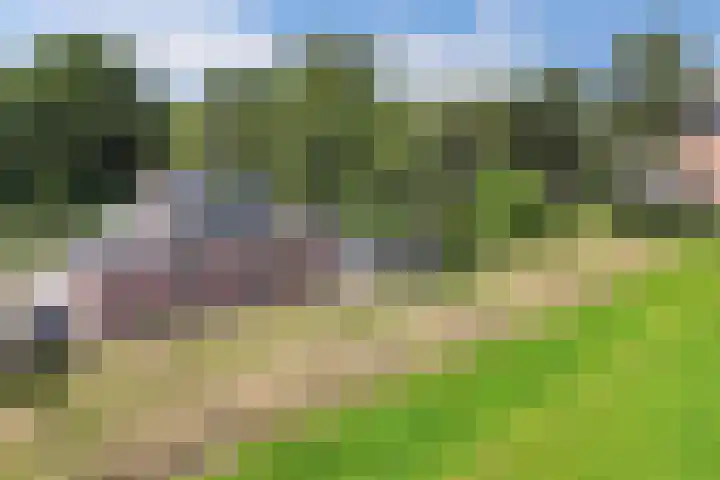 Middenvaart 5 Echten thumbnail 40