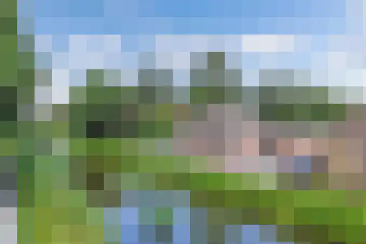 Middenvaart 5 Echten thumbnail 41